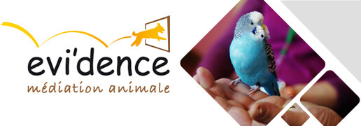 Association evi'dence - médiation animale