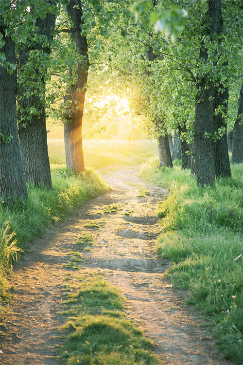 Découvrez mon approche en thérapie énergétique